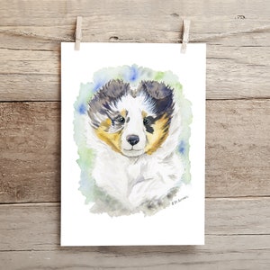 Sheltie Art,Blue Merle Sheltie Puppy, Shetland Sheepdog, Children's Art, Sheltie Gift, Sheltie Lover, Watercolor, Dog Portrait, Collie art image 1