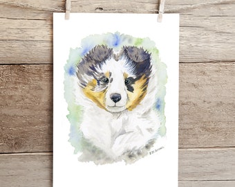 Sheltie Art,Blue Merle Sheltie Puppy, Shetland Sheepdog, Children's Art, Sheltie Gift, Sheltie Lover, Watercolor, Dog Portrait, Collie art