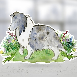 May include: Watercolor painting of a blue merle Collie dog standing in a field of wildflowers. The dog is looking to the left of the image. The flowers are in shades of pink, purple, blue, and yellow.