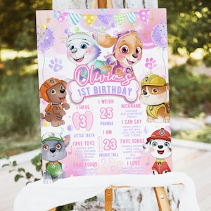 Paw Patrol 1st Birthday Girl Milestone Sign: Skye Puppy Party (Digital Download, 16x20/18x24in Template)