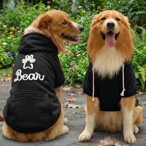 Pode incluir: Dois cães vestindo moletons pretos com pegada branca e texto "Bear". Os cães têm pelo marrom e branco e estão sentados do lado de fora perto de plantas e flores verdes. Um moletom tem um bolso.