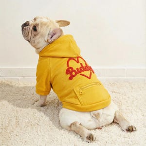 Könnte beinhalten: Eine französische Bulldogge trägt einen senfgelben Kapuzenpullover mit einem roten Herz und dem Wort "Buddy" auf dem Rücken. Der Hoodie hat eine Vordertasche und einen Reißverschluss. Der Hund sitzt auf einem weißen Teppich.