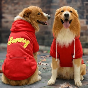 May include: Two dogs wearing red hoodies. One hoodie has the word "Funny" embroidered in yellow on the back. The other hoodie has a white drawstring. Both dogs are golden brown and white.