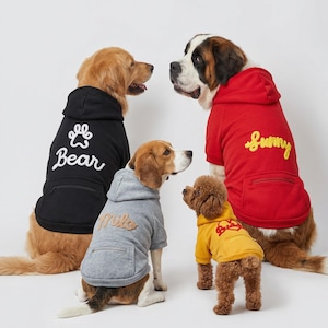 Pode incluir: Quatro cães vestindo moletons com capuz. Um golden retriever veste um moletom preto com "Bear" e uma pegada. Um São Bernardo veste um moletom vermelho com "Sunny". Um beagle veste um moletom cinza com "Milo". Um cão pequeno veste um moletom amarelo.