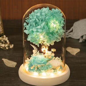 Cúpula de flores preservadas verde menta con luces LED: luz nocturna de vidrio para decoración del hogar, cumpleaños, bodas o regalo del Día de la Madre.
