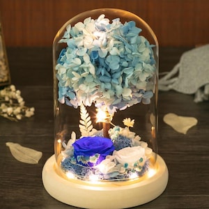 Cupola di fiori blu stabilizzati con luci a LED – Campana di vetro 17 cm x 12 cm – Luce notturna con ortensia e rosa blu + biglietto di auguri personalizzato