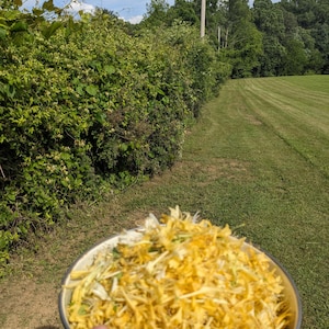 Honeysuckle Extract