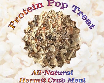 Protein Pop Treat - A Real Hermit Crab Meal Disguised as a Treat