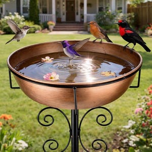 May include: A copper-colored bird bath with a black wrought iron stand. Several colorful birds perch on the rim or fly around the water-filled basin. The bird bath is set in a garden with a house in the background.