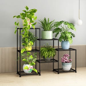 May include: A black metal plant stand with multiple tiers, displaying various potted plants. The plants include leafy green and yellow foliage, and succulents in colorful pots. The stand is a decorative and functional piece for indoor or outdoor use.