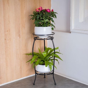 May include: A black metal plant stand with two tiers, each holding a white ceramic pot. The top pot contains a rose bush with pink and red blooms. The bottom pot holds a green fern. The stand is placed in a corner.