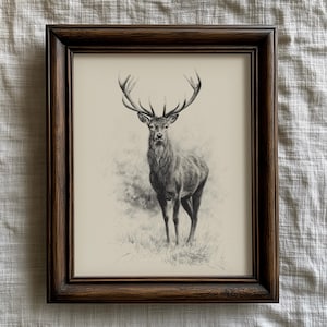 May include: A framed pencil drawing of a stag with impressive antlers, presented in a dark brown wooden frame. The artwork features a monochrome depiction of the stag standing in a grassy field, set against a cream-colored backdrop.