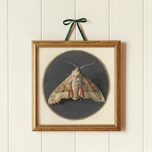Vintage Moth Wall Art Print | Gothic Natural History Insect Decor | Entomology Wall Art | Dark Academia Decor | Vintage Nursery Print | 12