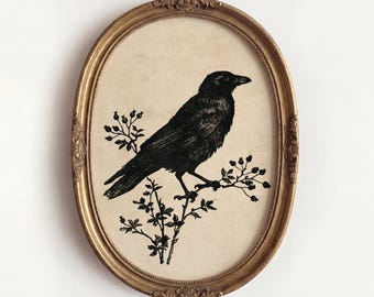 Puede incluir: Un marco ovalado dorado y ornamentado que contiene una ilustración en tinta negra de un cuervo posado sobre una rama con pequeñas bayas. La obra está sobre un fondo beige claro texturizado, creando una exhibición visual de alto contraste.