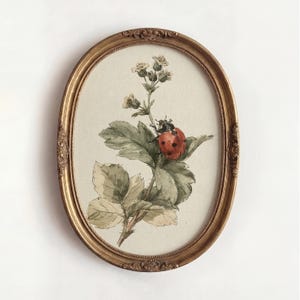 Könnte beinhalten: Oval gerahmtes Aquarellgemälde mit einem Marienkäfer auf einer Pflanze mit grünen Blättern und kleinen weißen Blüten. Der goldene Rahmen hat verzierte Details. Das Kunstwerk hat eine Vintage-Ästhetik.