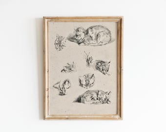 Vintage Kitten Sketch Print: Charcoal Cat Drawing, Minimalist Pet Decor (Digital Download)