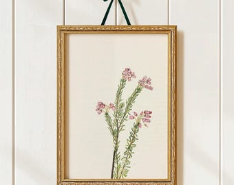 Vintage Wildflower Print: Antique Botanical Illustration, Cottagecore Decor (Digital Download)