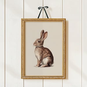 Vintage Kaninchen Illustration Druck | Antik-Stil Häschen Wand Kunst | Waldtier Kinderzimmer Dekor | Gender Neutral Kinderzimmer Wandkunst | 13