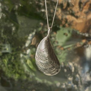 Könnte beinhalten: Eine silberne Anhänger Halskette mit einem detaillierten Design einer Muschelschale. Der Anhänger hängt an einer filigranen Silberkette. Der Hintergrund ist eine verschwommene Ansicht von grünem Laub.