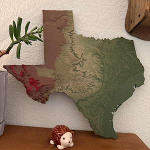 May include: A topographical wall map of the state of Texas featuring a textured, multi-colored relief design in shades of green, tan, brown, and red. A small, brown and white ceramic hedgehog figurine sits in front of the map.