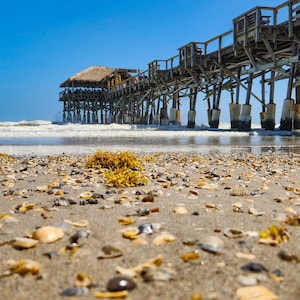 Beach Pier Wall Art