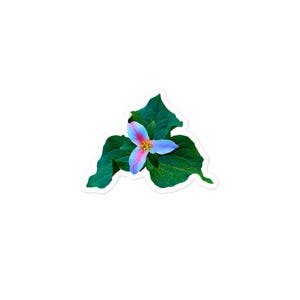 Trillium-sticker
