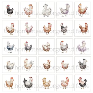 25 Printable Watercolor Chickens – Farmhouse Decor for Chicken Lovers – Whimsical Homestead Wall Art | Instant Download