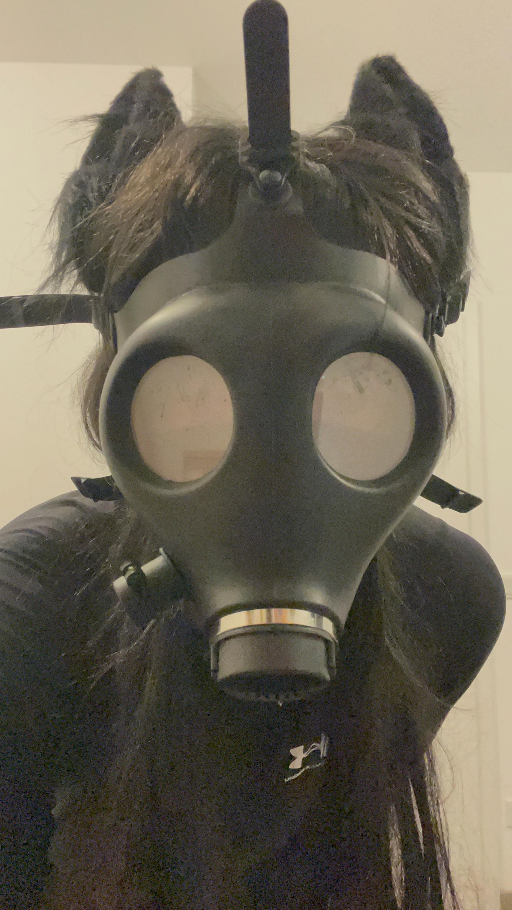 Fetish gasmask s10 - Etsy 日本