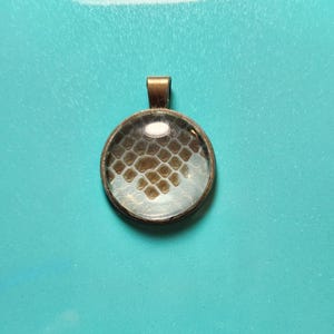 circular snake shed pendant. Bp2