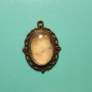 oval shaped snake shed pendant. Bp3