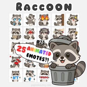 Puede incluir: Una hoja de 25 emoticonos animados de mapaches con varias expresiones. La palabra "RACCOON" está en la parte superior. Un mapache asoma de un cubo de basura. Un bocadillo dice "25 ANIMATED EMOTES!!".