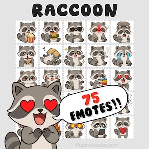 Peut inclure: Une collection de 75 émoticônes de ratons laveurs exprimant diverses émotions, comme manger et porter des lunettes de soleil. Le mot "RACCOON" est en haut. Un raton laveur avec des yeux en forme de cœur est à gauche, avec une bulle de dialogue "75 EMOTES!!".