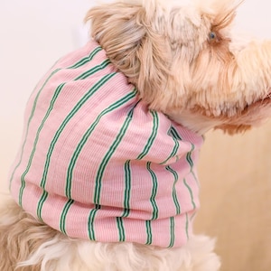 Puede incluir: Un perro lleva puesto un cuello de tela a rayas rosas y verdes. El accesorio presenta un patr&oacute;n repetitivo de rayas verticales de color verde oscuro sobre un fondo rosa claro, confeccionado con una tela acanalada y texturizada que se ajusta al cuello.