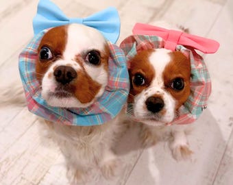 Cavalier Dog Snood, Pastel Plaid Cotton, Detachable Bow, Long Ear Protection, Adjustable