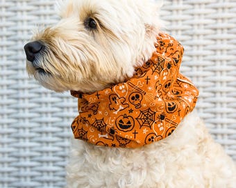 Halloween Dog Snood for cocker spaniel & long ear dog, Adjustable Dog Ear Cover for Cavalier, Halloween gift idea