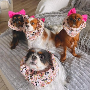 May include: Four small dogs wearing pink floral patterned neck wraps and pink bows. The dogs are a mix of breeds, including Cavalier King Charles Spaniels and a Yorkshire Terrier. They are sitting on a gray blanket.