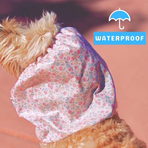 May include: A light pink dog bonnet with a floral pattern of red, yellow, and blue flowers. The bonnet is labeled "WATERPROOF" with a blue umbrella icon. The dog's fur is light brown.