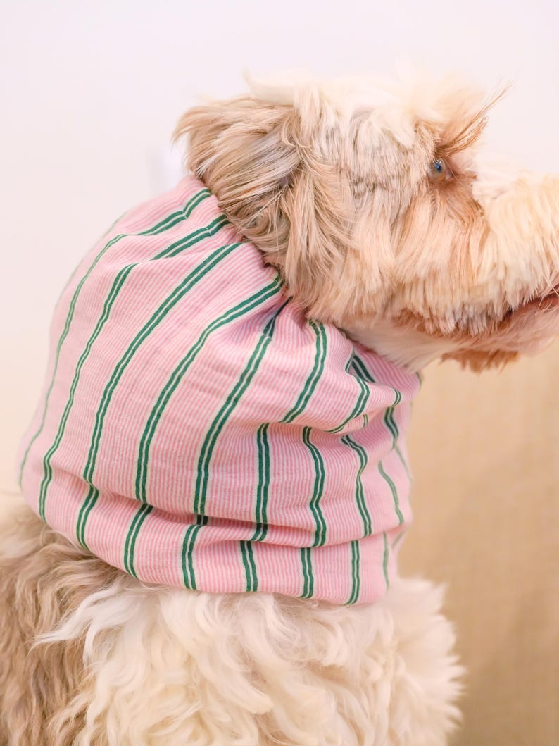 Puede incluir: Un perro lleva puesto un cuello de tela a rayas rosas y verdes. El accesorio presenta un patr&oacute;n repetitivo de rayas verticales de color verde oscuro sobre un fondo rosa claro, confeccionado con una tela acanalada y texturizada que se ajusta al cuello.