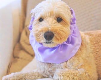 Silk dog snood for Cavalier, Cocker Spaniel, Doodle, Long-ear Dog's Ear Protection, 100% pure silk show dog snood