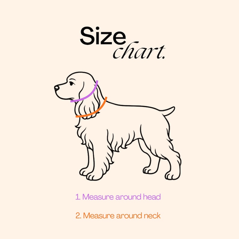 Puede incluir: Una ilustraci&oacute;n de tabla de tallas con un dibujo lineal de un perro. El texto dice Size chart. Una l&iacute;nea morada indica d&oacute;nde medir alrededor de la cabeza y una l&iacute;nea naranja d&oacute;nde medir alrededor del cuello, etiquetadas como 1 y 2.