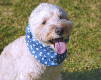 dog snood for Cavalier, Cocker Spaniel, Doodle, Basset, handmade Ear Protector for Long-ear Dog, polka dot, Lilac/denim, XS~L