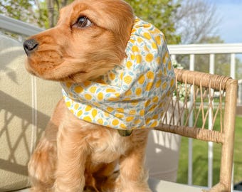 Lemon Picnic dog snood, ear cover for Cocker Spaniel, Cavalier, Long-eared Dog, XS~XL