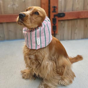 Gorro de verano para perros, ideal para cocker spaniel, suave y transpirable, cubre orejas para cavalier y basset hound. Algodón muselina, rayas rosas, tallas XS a L, ajustable. imagen 4