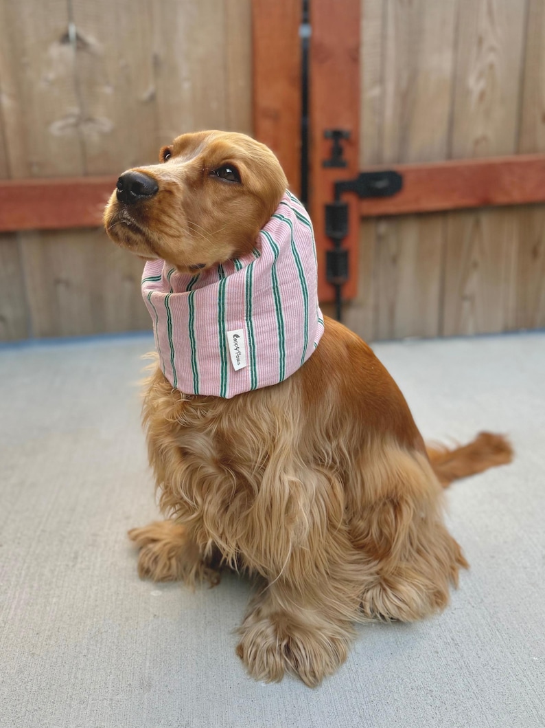 Gorro de verano para perros, ideal para cocker spaniel, suave y transpirable, cubre orejas para cavalier y basset hound. Algodón muselina, rayas rosas, tallas XS a L, ajustable. imagen 4