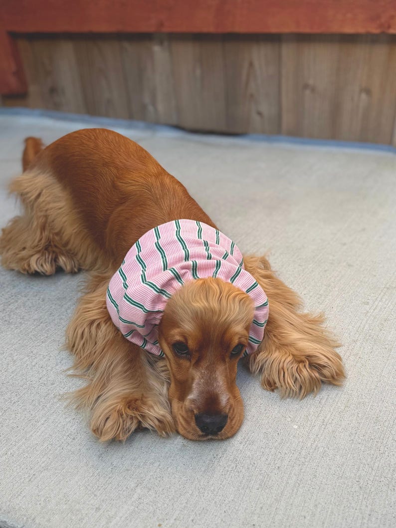 Puede incluir: Un perro spaniel de color marr&oacute;n dorado lleva un snood de tela rosa con finas rayas verticales verdes. El accesorio est&aacute; fruncido alrededor del cuello y las orejas del perro, mostrando una textura acanalada y una forma suave y redondeada.