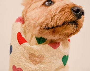 Heart dog snood, ear protection for Cavalier, Cocker Spaniel, Long-eared Dog