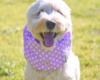 Adjustable dog snood for Cavalier, Cocker Spaniel, Doodle, Basset, handmade Ear Protector for Long-ear Dog, Lilac polka dot, XS~L