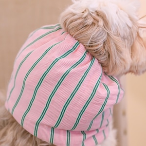 Puede incluir: Un snood para mascotas con una base de tela rosa claro y rayas verticales de color verde oscuro. El accesorio est&aacute; dise&ntilde;ado para ajustarse alrededor del cuello y la cabeza, mostrando una textura acanalada en todo el material y una abertura el&aacute;stica.