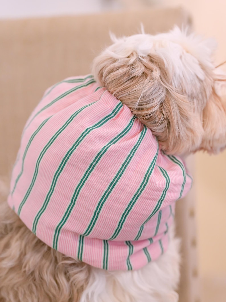 Puede incluir: Un snood para mascotas con una base de tela rosa claro y rayas verticales de color verde oscuro. El accesorio est&aacute; dise&ntilde;ado para ajustarse alrededor del cuello y la cabeza, mostrando una textura acanalada en todo el material y una abertura el&aacute;stica.