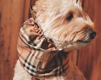 LAST FEW XS! Plaid tartan dog snood for Cavalier, Cocker Spaniel, Doodle, Long-ear Dog's Classic Ear Protection